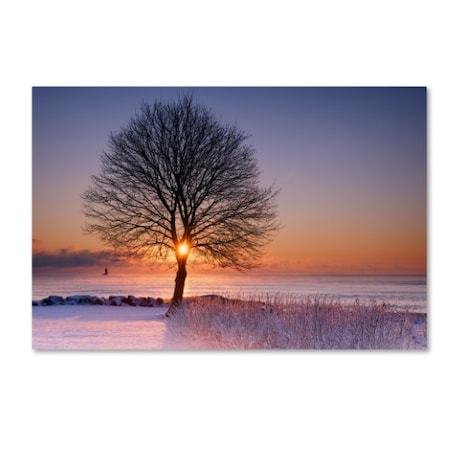 Michael Blanchette Photography 'Tree Burst' Canvas Art,12x19